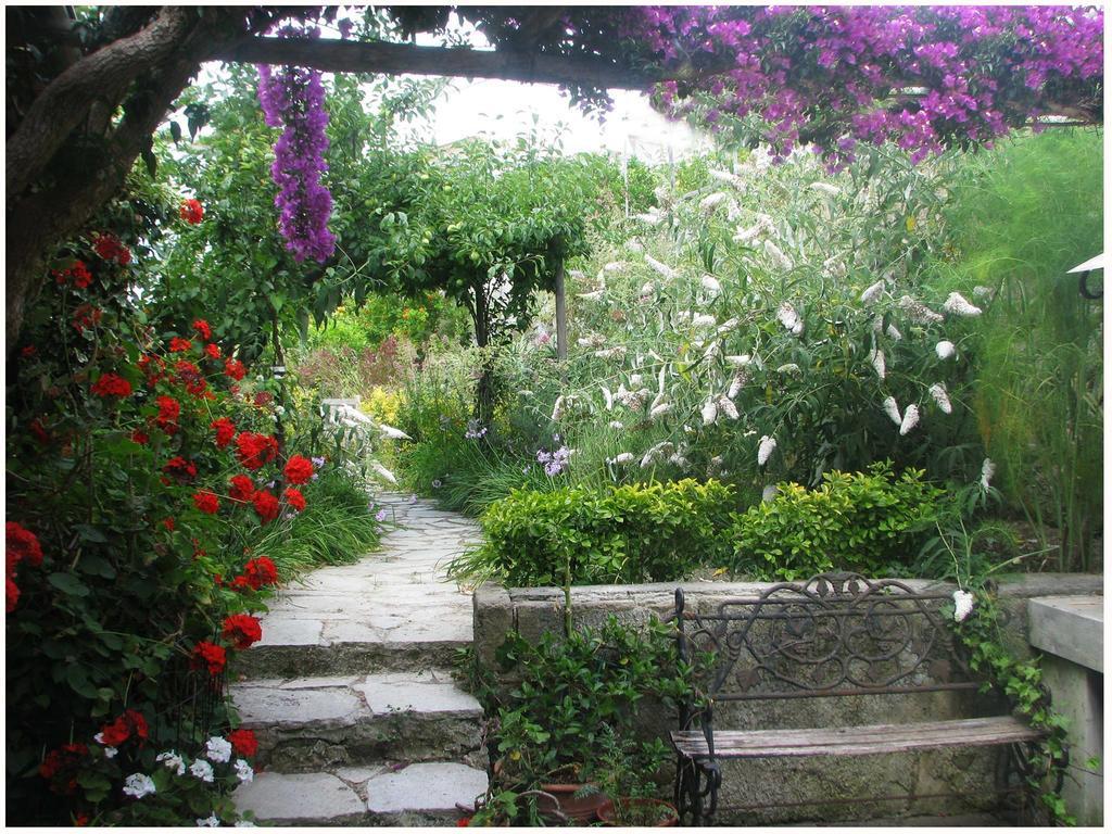 B&B La Salamandra Kitchengarden Forio di Ischia Zewnętrze zdjęcie