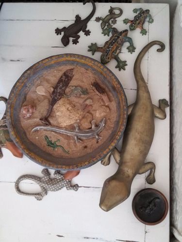 B&B La Salamandra Kitchengarden Forio di Ischia Zewnętrze zdjęcie