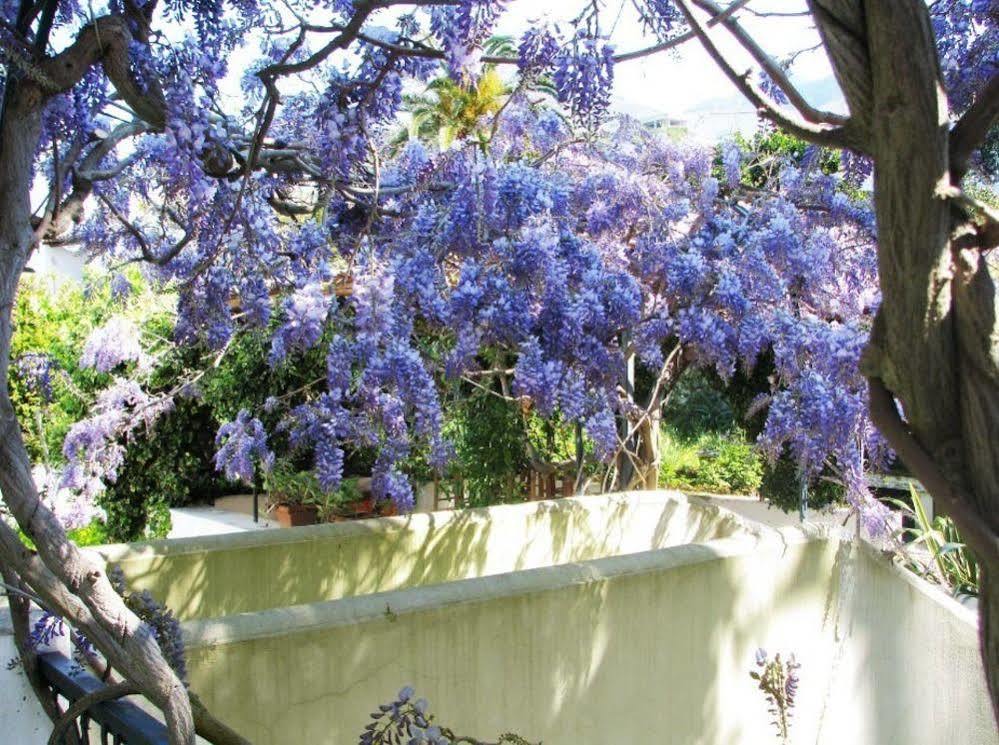 B&B La Salamandra Kitchengarden Forio di Ischia Zewnętrze zdjęcie