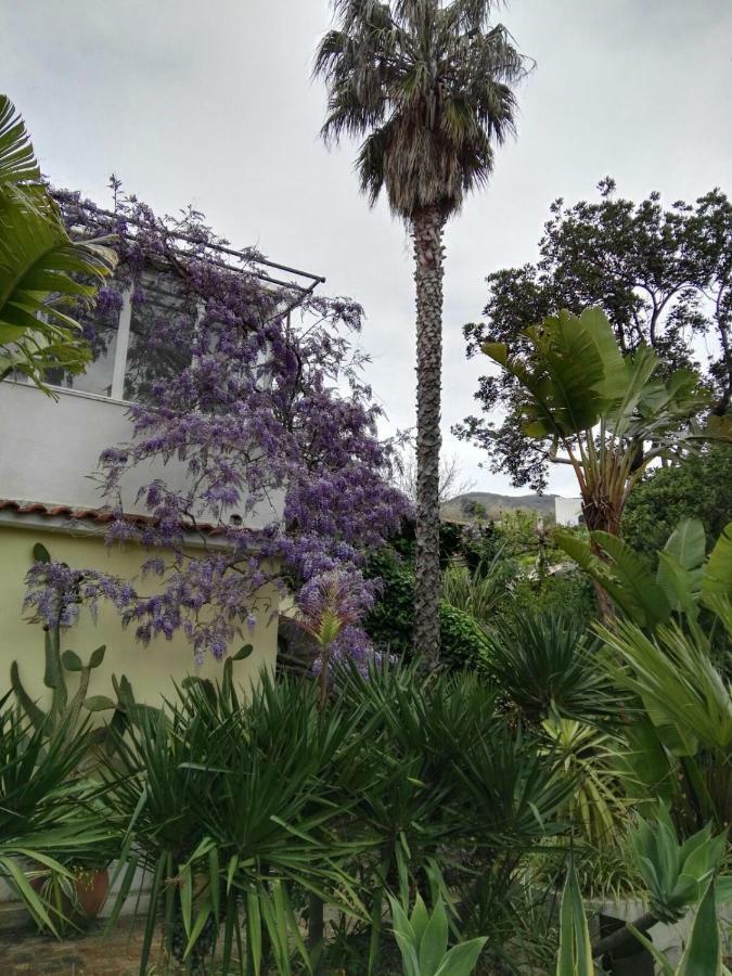 B&B La Salamandra Kitchengarden Forio di Ischia Zewnętrze zdjęcie