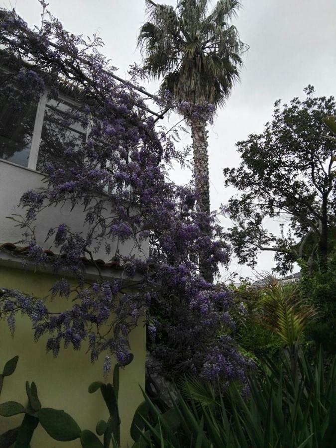 B&B La Salamandra Kitchengarden Forio di Ischia Zewnętrze zdjęcie
