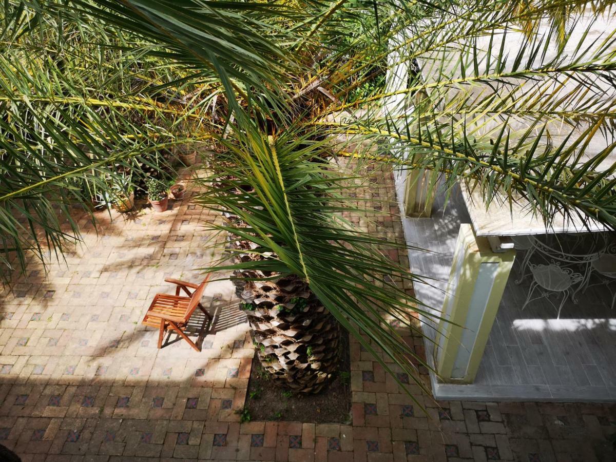 B&B La Salamandra Kitchengarden Forio di Ischia Zewnętrze zdjęcie