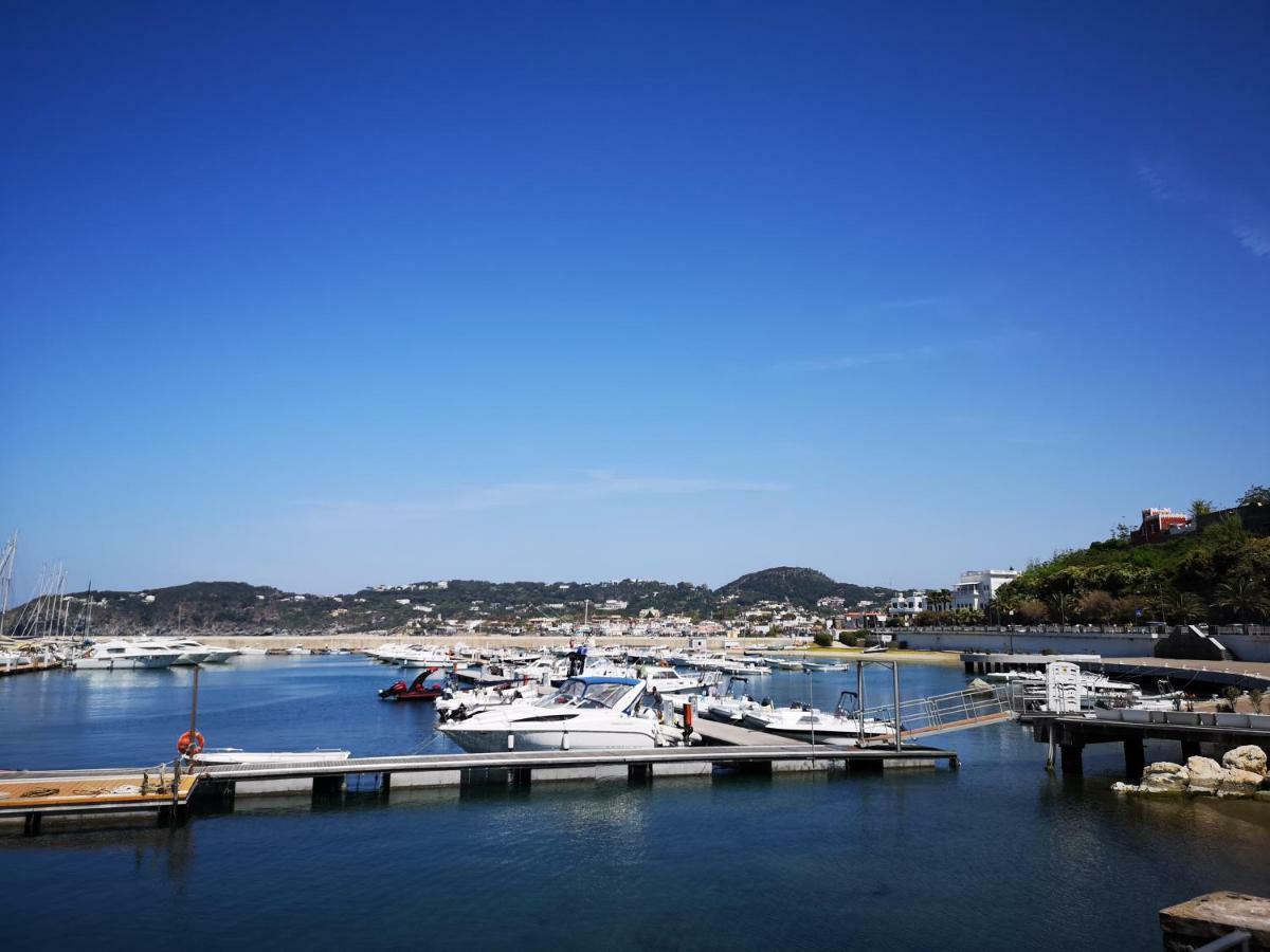 B&B La Salamandra Kitchengarden Forio di Ischia Zewnętrze zdjęcie
